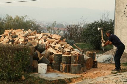 Mjera na snazi do kraja septembra: Zabranjen izvoz pojedinih drvnih sortimenata iz BiH