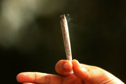 PRETRESI U TESLIĆU Policija zaplijenila marihuanu i "pajp"