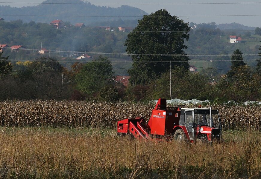 ISPLAĆENI PODSTICAJI Za poljoprivrednu proizvodnju u Srpskoj više od 2,7 miliona maraka