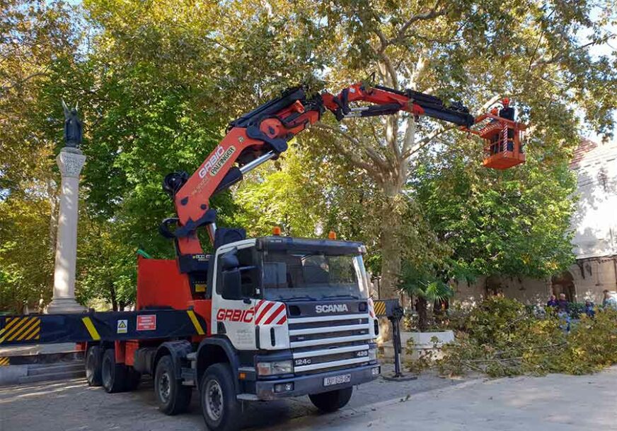 U Trebinju počela sanacija stabala platana i kestena