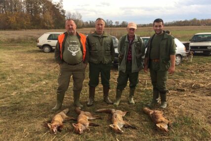 Nedaće lovaca iz Lijevče polja zbog štetočina: Štite fazane i zečeve od napada lisica