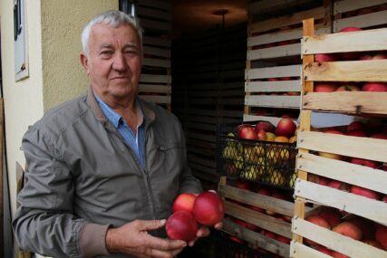 Problemi malih voćara u okolini Gradiške: Puni ambari jabuke u bescijenju