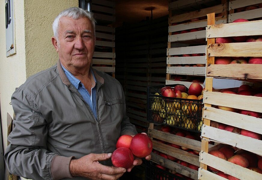 Problemi malih voćara u okolini Gradiške: Puni ambari jabuke u bescijenju