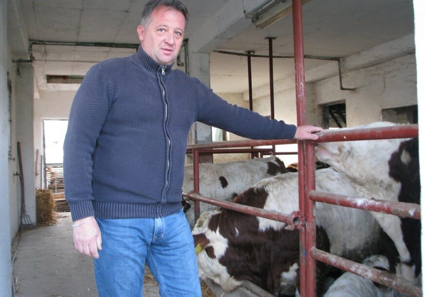FARMERI LJUTI ZBOG UVOZA MESA Dobra godina nije po mjeri poljoprivrednicima u Lijevče polju