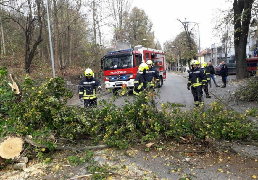 Drvo palo na prometnu saobraćajnicu: Oštećena dva automobila u Kočićevom vijencu