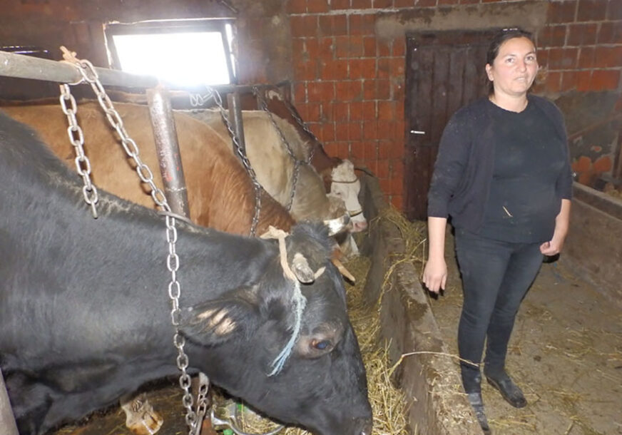 "NAJVEĆA ŽENA KOJU POZNAJEM" Dirljiva priča o Jeleni koja sama odgaja šestoro djece i vodi ogromno imanje, a sve to s OSMIJEHOM