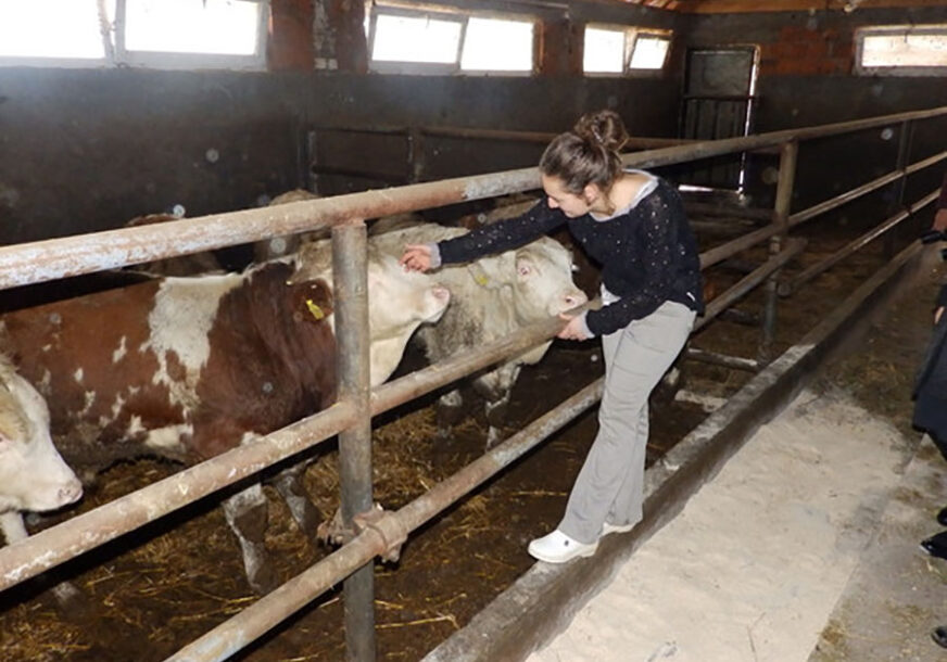 Foto: N. Božović/RAS Srbija