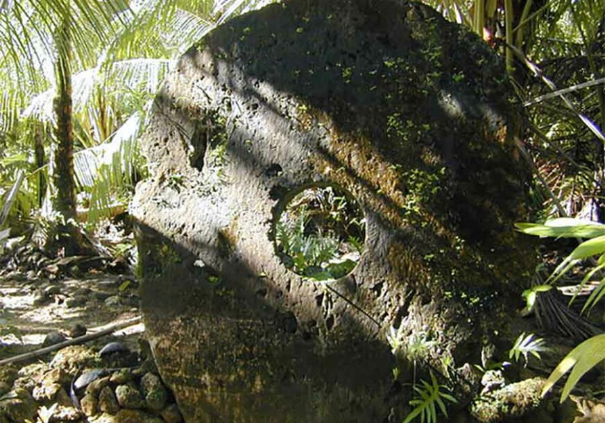 Foto: Eric Guinther CC BY-SA 3.0 / Wikipedia