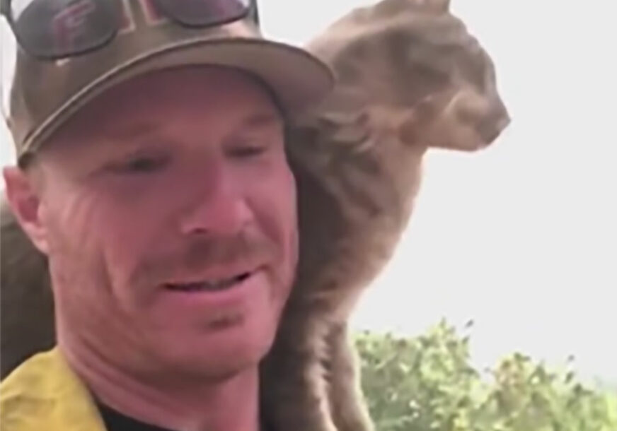 SNIMAK POGLEDALO DVA MILIONA LJUDI Spasao je mačku iz požara, a ona mu se zahvalila na DIRLJIV način