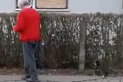 NESVAKIDAŠNJI PRIZOR U BANJALUCI Naseljem prošetao mačku na povocu (VIDEO)