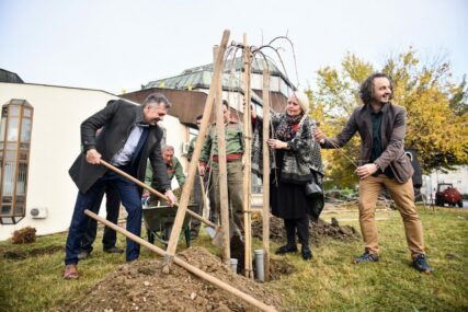 Grad dobija 1.000 novih stabala