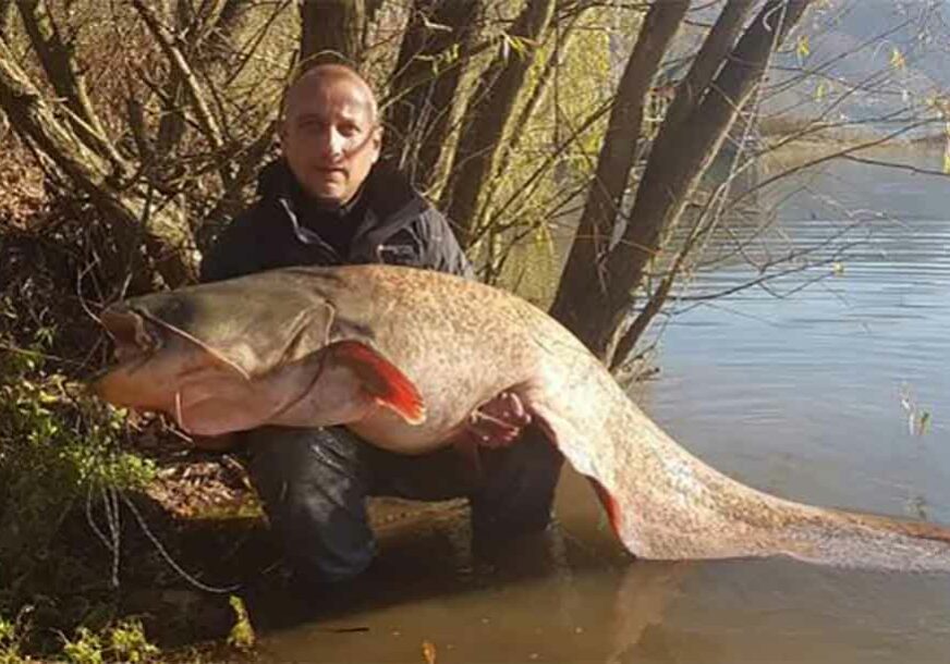 Ulovio soma TEŠKOG 60 KILOGRAMA, a onda je ovim postupkom SVE ODUŠEVIO