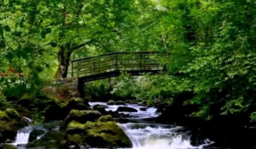 USPAVANKA ZA ODRASLE Odmorite i “nahranite” oči, pogledajte ovaj video
