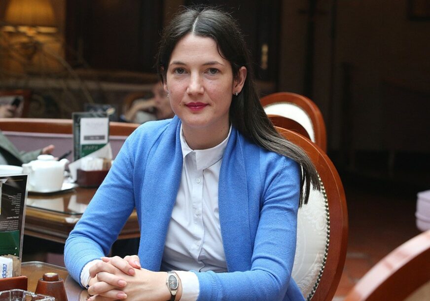 NIJE ODUSTALA Trivićeva pitala Viškovića šta će učiniti povodom LAŽNOG PREDSTAVLJANJA ministra Đokića