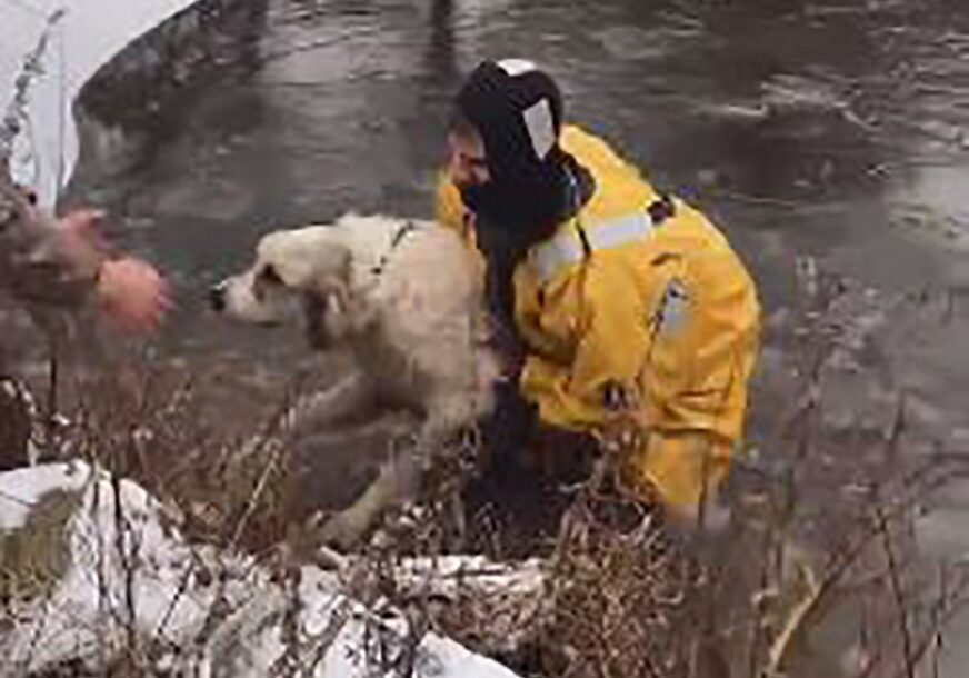 PODVIG HRABROG VATROGASCA Ušao je u zaleđeno jezero i spasio psa SIGURNE SMRT (VIDEO)