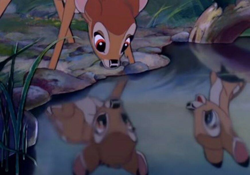 NESVAKIDAŠNJA KAZNA Lovokradica osuđen na robiju i gledanje animiranog filma "Bambi"