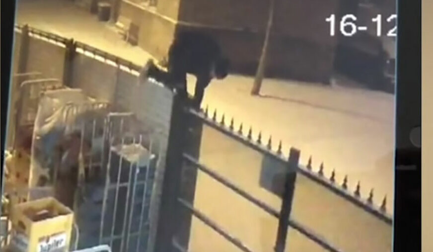 LJUBAV PREMA PIVU SKUPO GA KOŠTALA Ovaj lopov bi mogao da dobije nagradu za GLUPOST GODINE