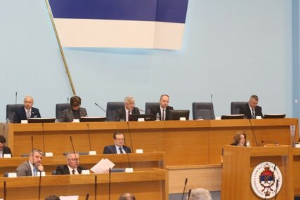 Izabrani članovi radnih tijela Narodne skupštine RS
