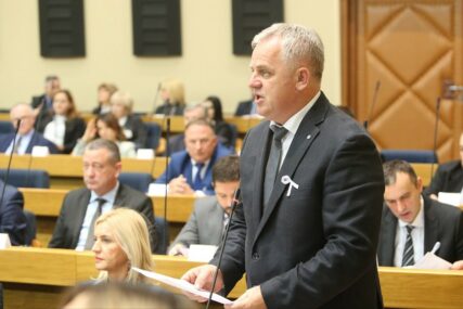 RASPRAVA U SKUPŠTINI Stanić sumnja u kriminal, a premijer Višković ga razuvjerava