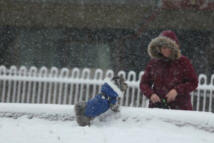 vlasnik i pas na snijegu