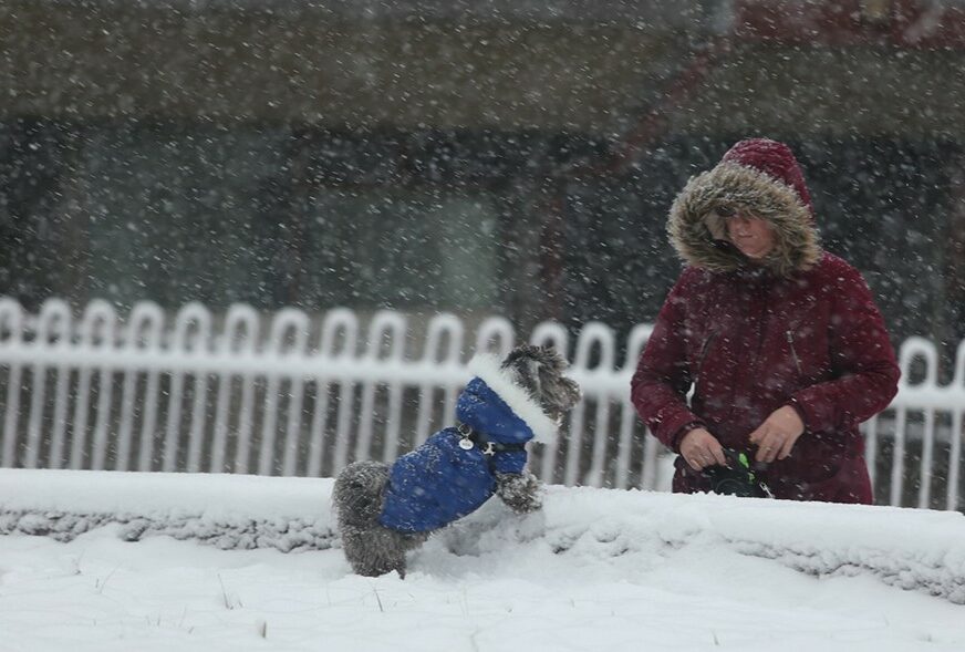 vlasnik i pas na snijegu