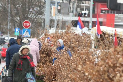 GRAD OKIĆEN BADNJACIMA Pripreme za najradosniji hrišćanski praznik (FOTO)