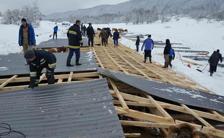 SNIJEG NAPRAVIO HAOS U Mrkonjić Gradu stradalo sedam krava, spasavanje grla pomagalo više od 50 ljudi