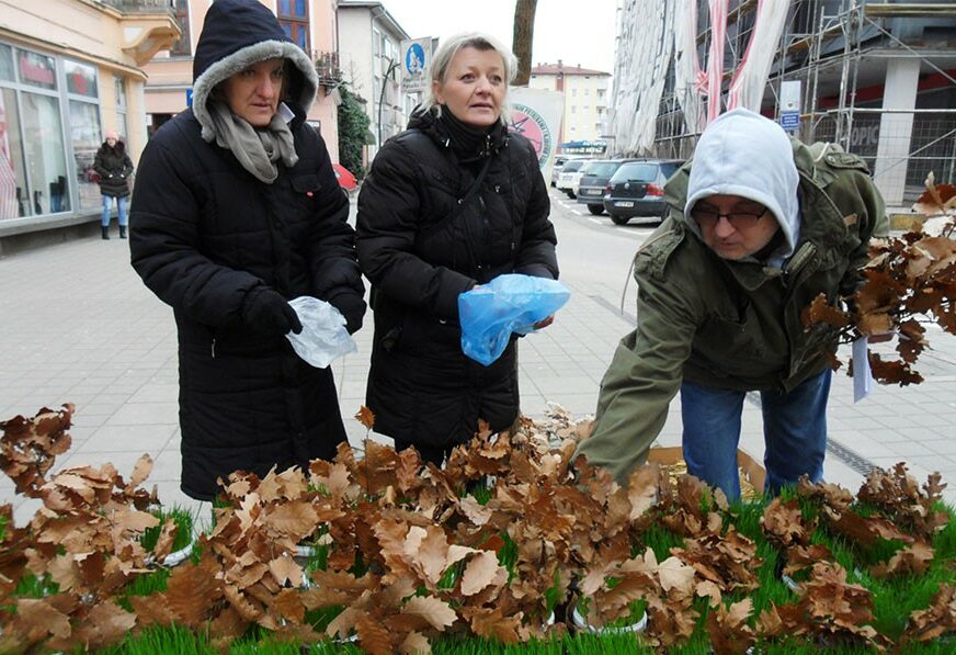 Udruženje "Iskra" iz Novog Grada prodajom badnjaka prikuplja sredstva za djecu sa posebnim potrebama