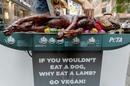 PRIZOR ŠOKIRAO Vegani “roštiljali” psa nasred ulice i uplašili djecu, a cilj im je OVAJ