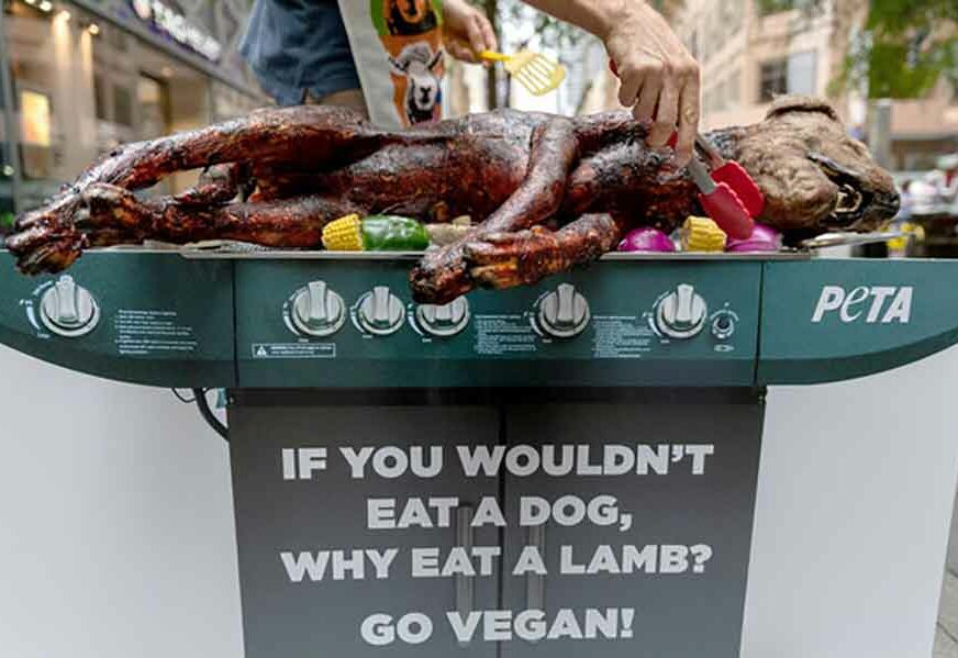 PRIZOR ŠOKIRAO Vegani “roštiljali” psa nasred ulice i uplašili djecu, a cilj im je OVAJ