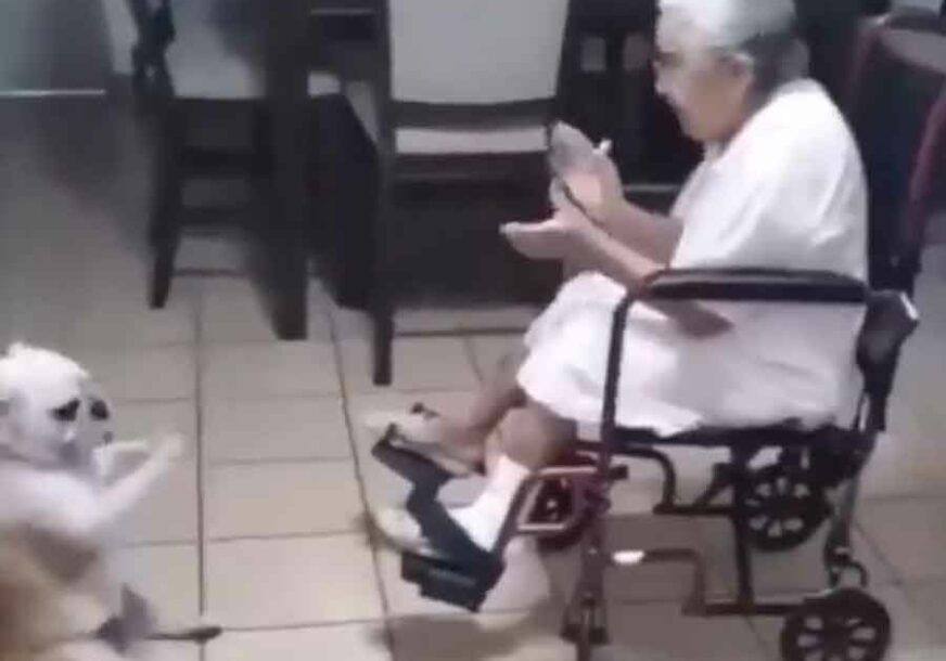 SA NJIMA NIJE DOSADNO Ova baka i njen pas uvjeriće vas da PRAVO PRIJATELJSTVO postoji (VIDEO)