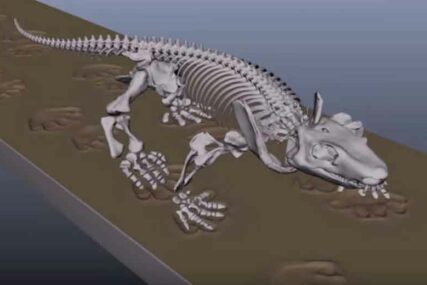 JEDINSTVEN UVID U PROŠLOST Tim mađarskog paleontologa otkrio ostatke dinosaurusa