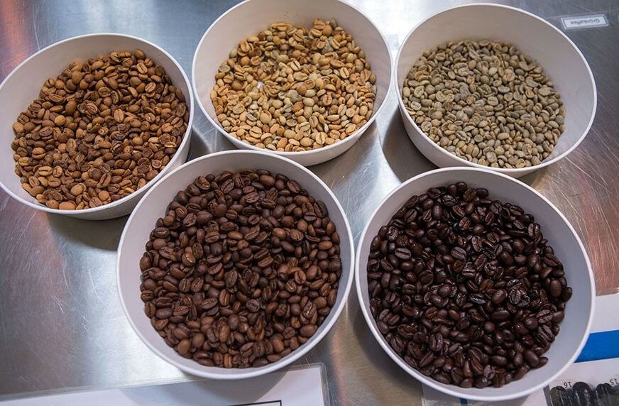 UGROŽENA PROIZVODNJA Nestanak prijeti za više od polovine vrsta kafe u svijetu
