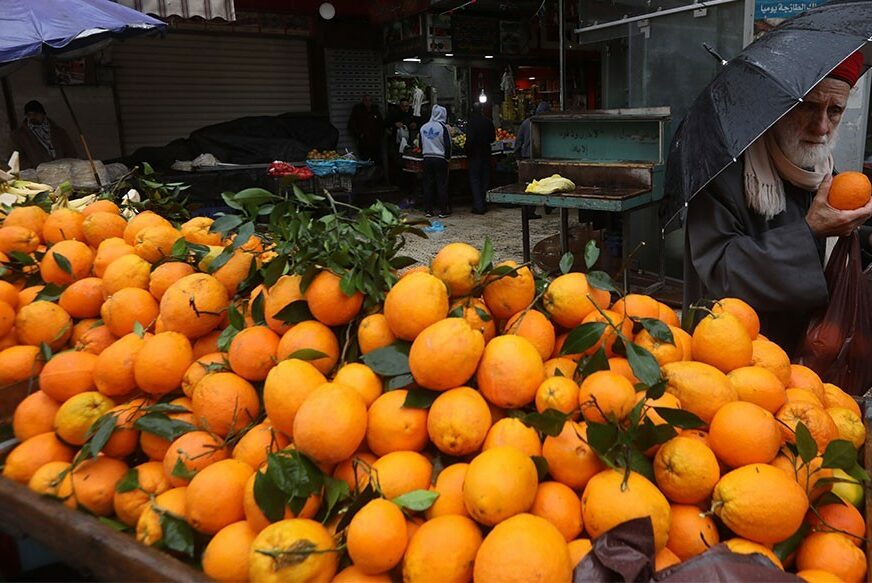 Odakle Evropskoj uniji tolike pomorandže? Proizvedeno više od šest miliona tona ovog voća