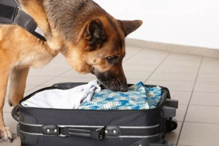 Policijski pas otkrio kilogram heroina