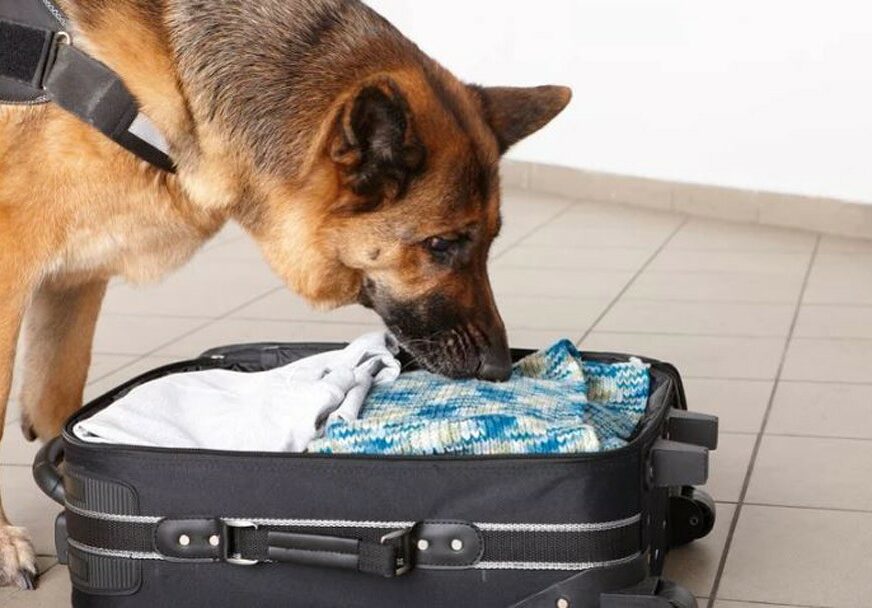 Policijski pas otkrio kilogram heroina