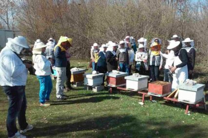 KVALITET VAŽNIJI OD PRINOSA Neđo je jedini trebinjski proizvođač eko meda