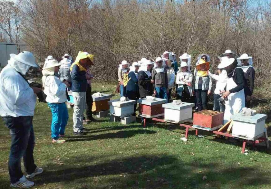 KVALITET VAŽNIJI OD PRINOSA Neđo je jedini trebinjski proizvođač eko meda