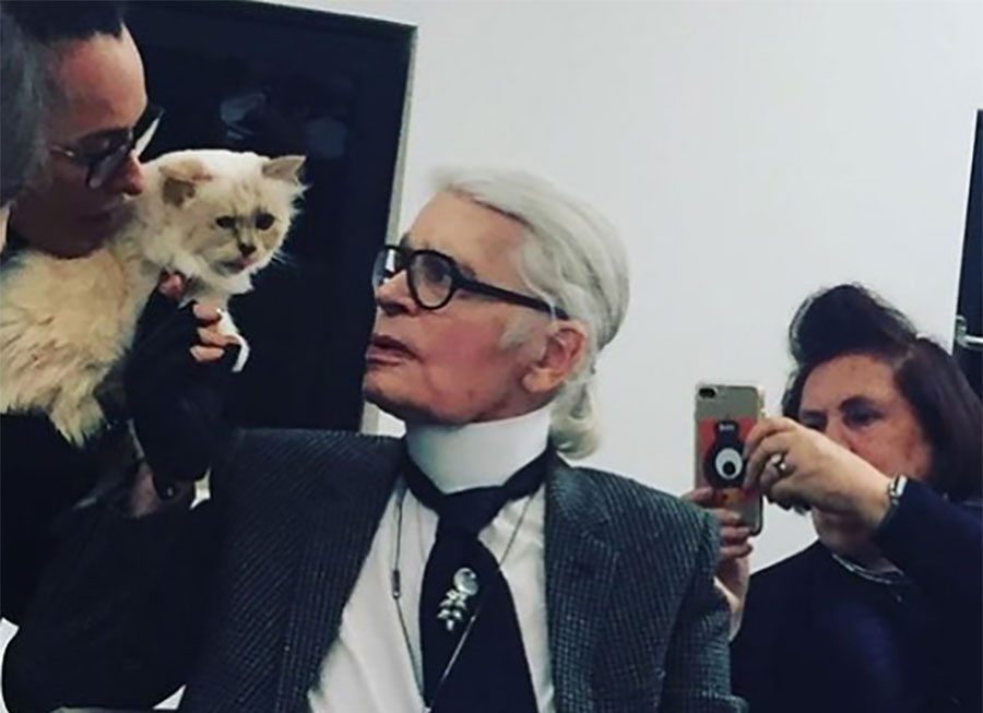 Lagerfeld je bogatstvo od 200 MILIONA DOLARA ostavio mački, a suprug Verice Rakočević tim povodom je objavio ŽESTOK KOMENTAR