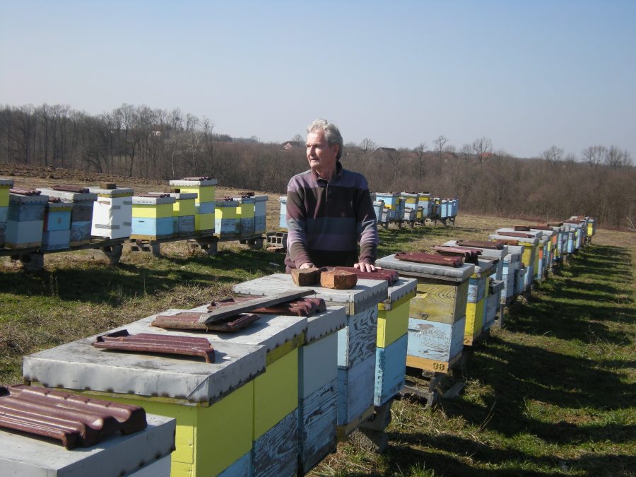 "DO OVE GODINE NISAM IZGUBIO NI JEDNU KOŠNICU" Ove zime u Brčkom UGINUO veliki broj pčela