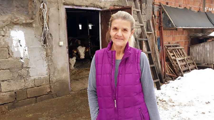 “NE TREBA MI NJEMAČKA” Fahira živi nedaleko od Modriče, uzgaja krave i NE ŽALI SE