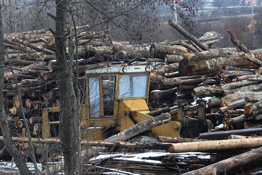 NIJE ČUVAO ŠUMU Nesavjesnim postupanjem oštetio šumsko gazdinstvo za 30.208 KM