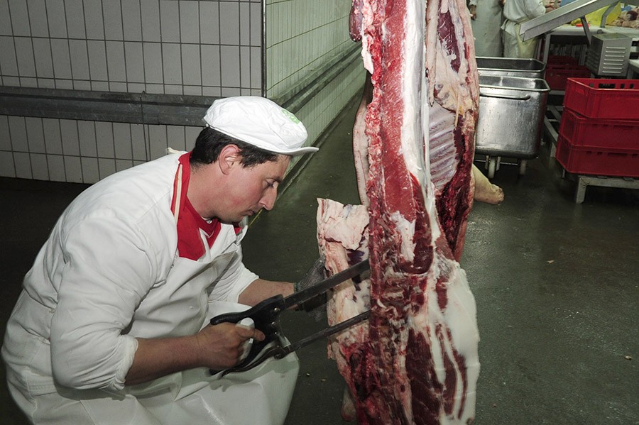 NAREĐENO UNIŠTAVANJE HRANE Kolači mikrobiološki neispravni, meso nekvalitetno