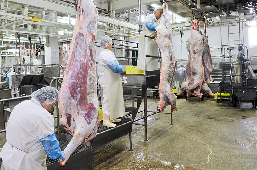 IZVOZIMO KVALITET, UVOZIMO OTPAD Proizvodnja mesa posrće pod teretom prekomjernog uvoza