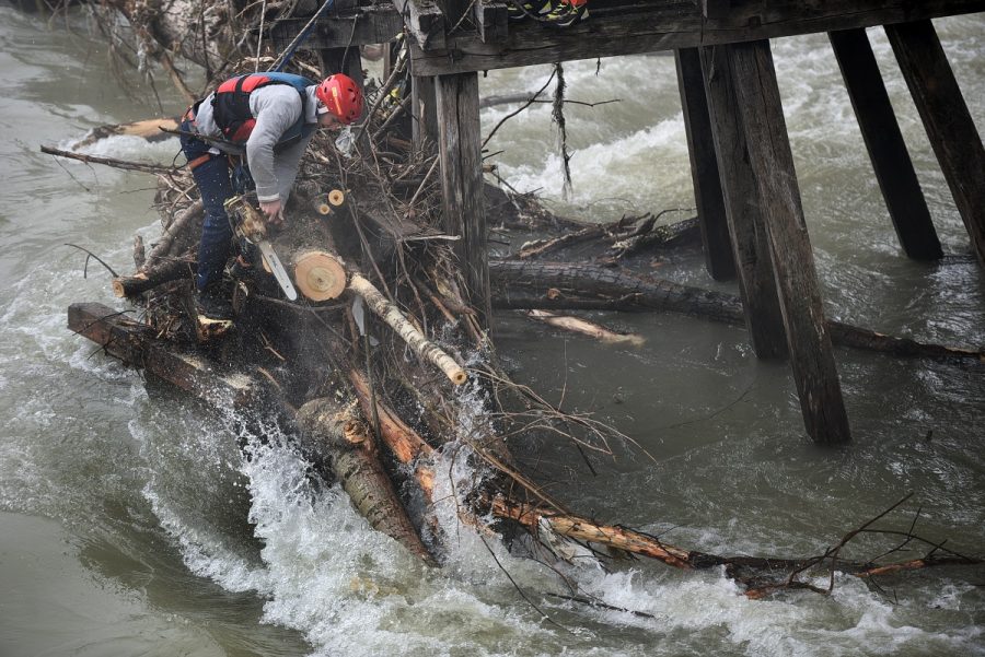 EKIPE NA TERENU Zaglavljeno stablo u konstrukciji starog mosta u Trapistima (VIDEO)