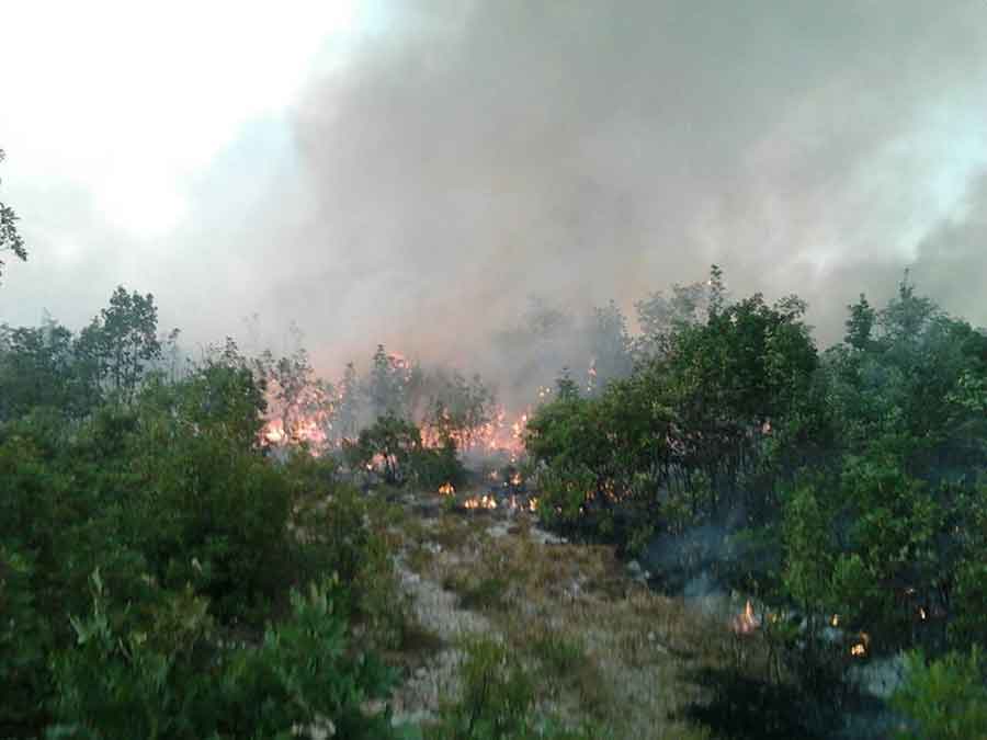 BORBA SA VATROM Pet požara aktivno u Hercegovini, tokom noći ugašeno šest