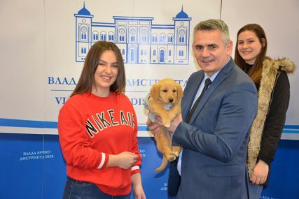 Neobičan poklon za Dan Distrikta Brčko: Gradonačelnik Milić dobio štene zlatnog retrivera
