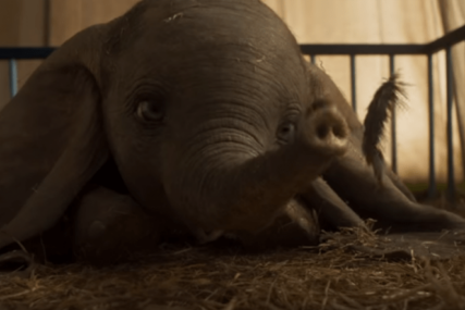STIGAO NOVI TREJLER Poznati slonić Dambo u martu stiže u kina