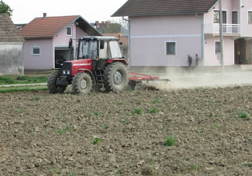 Zasijane njive u Lijevču: Sjetva na 25.500 hektara