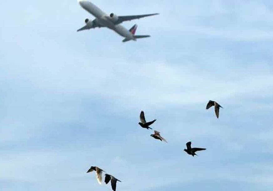 NEOBIČNA NESREĆA IZNAD SARAJEVA Sudarili se avion i jato ptica, putnici PRESTRAŠENI